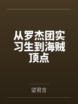 自从罗杰死了我就没看过海贼类似的封面