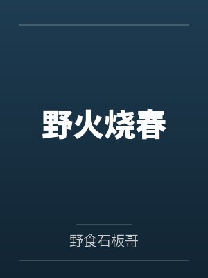 野火烧春封面