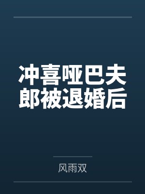 冲喜哑巴夫郎被退婚后by风雨双封面